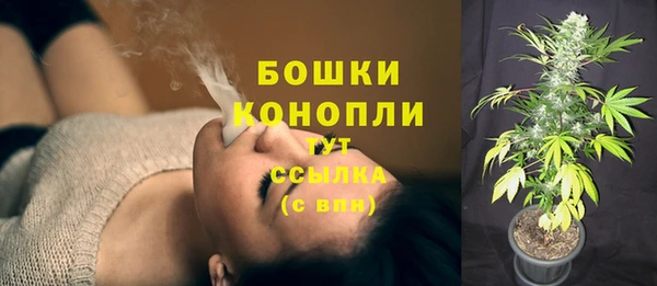 крисы Аркадак