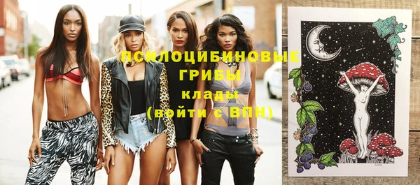 молекула духа Баксан