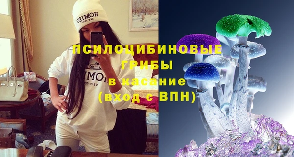 МДПВ Армянск