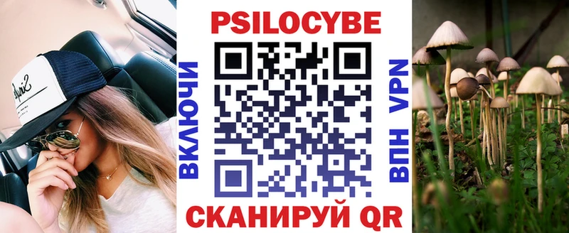 как найти закладки  Полярные Зори  Галлюциногенные грибы GOLDEN TEACHER 